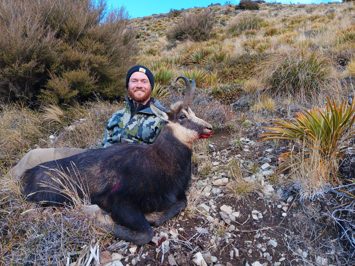 Free range four species package.