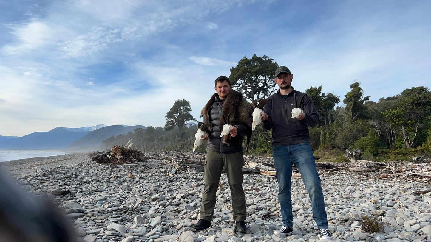 Tahr And Chamois Wilderness Hunt Combo
