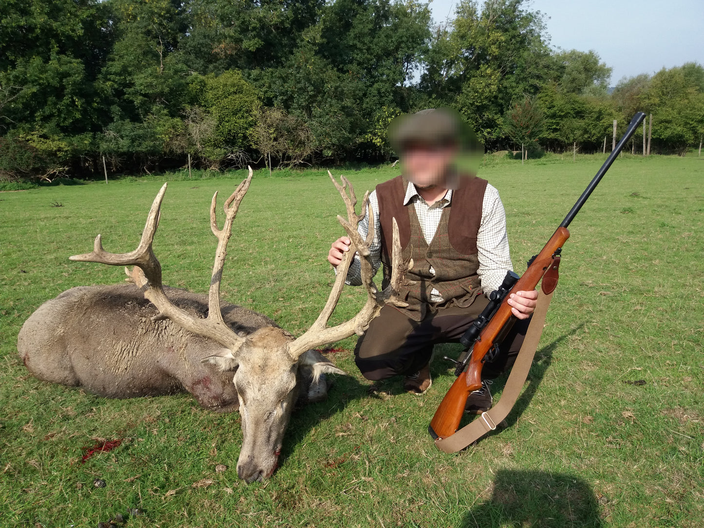 Pere David and Roe Buck summer hunt