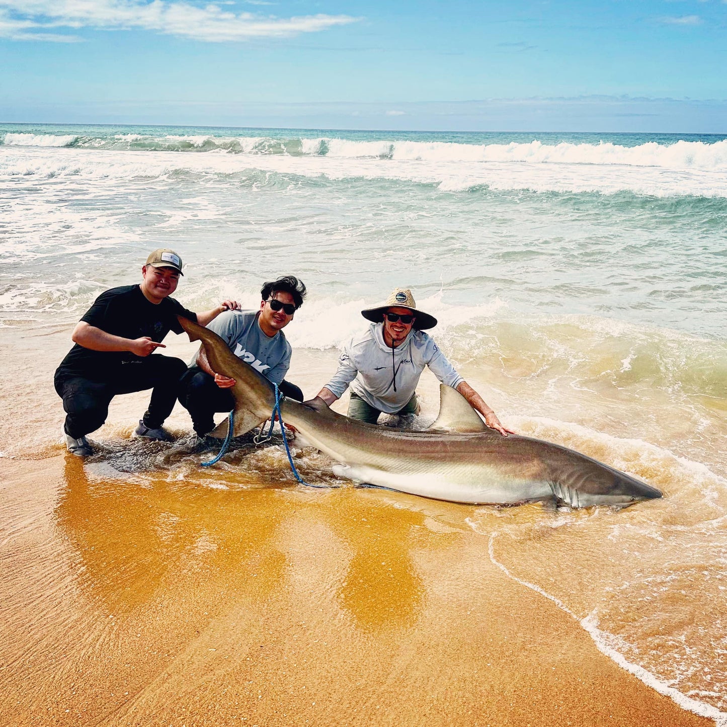 Shore based shark fishing