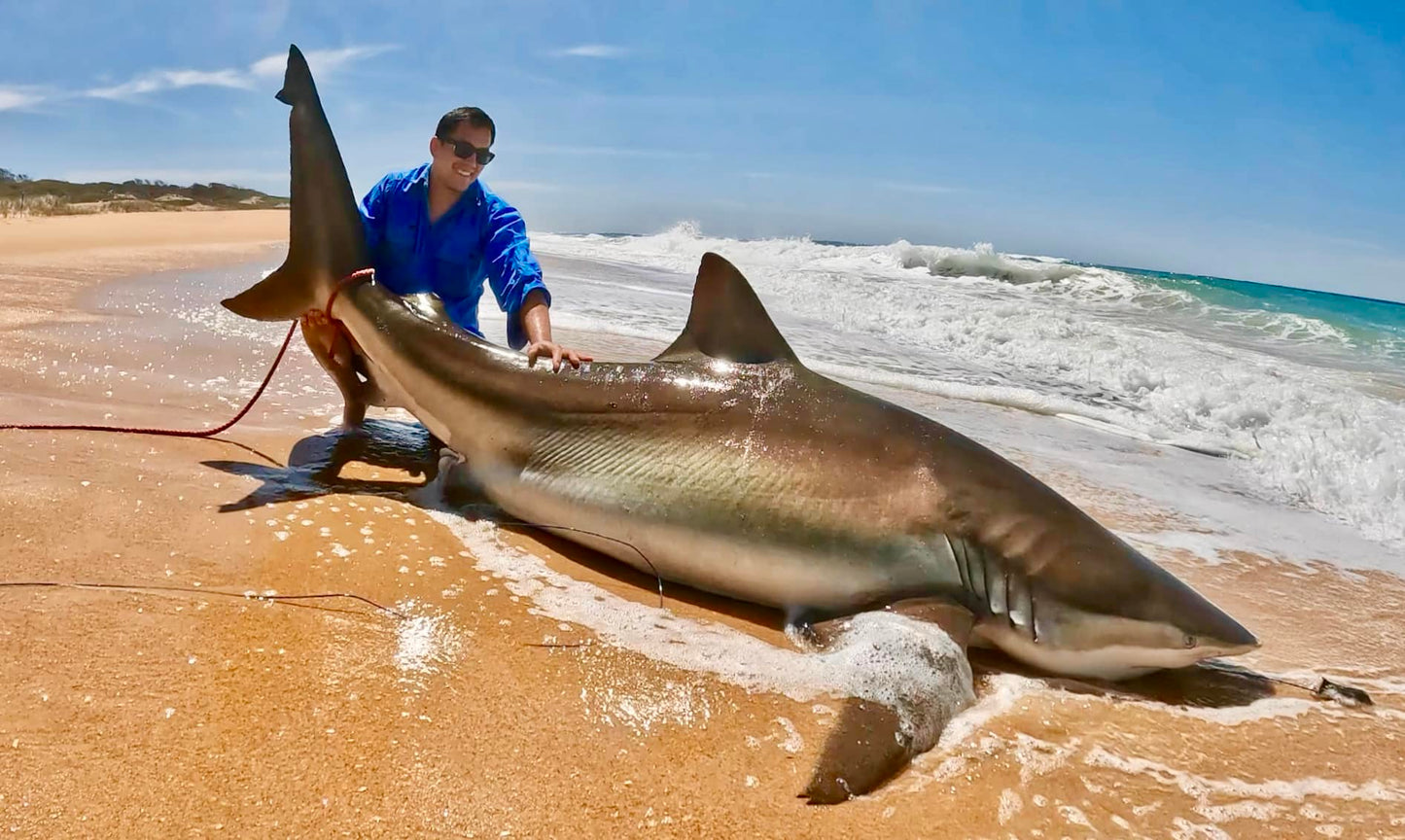 Hog Deer and coastal Shark fishing combo