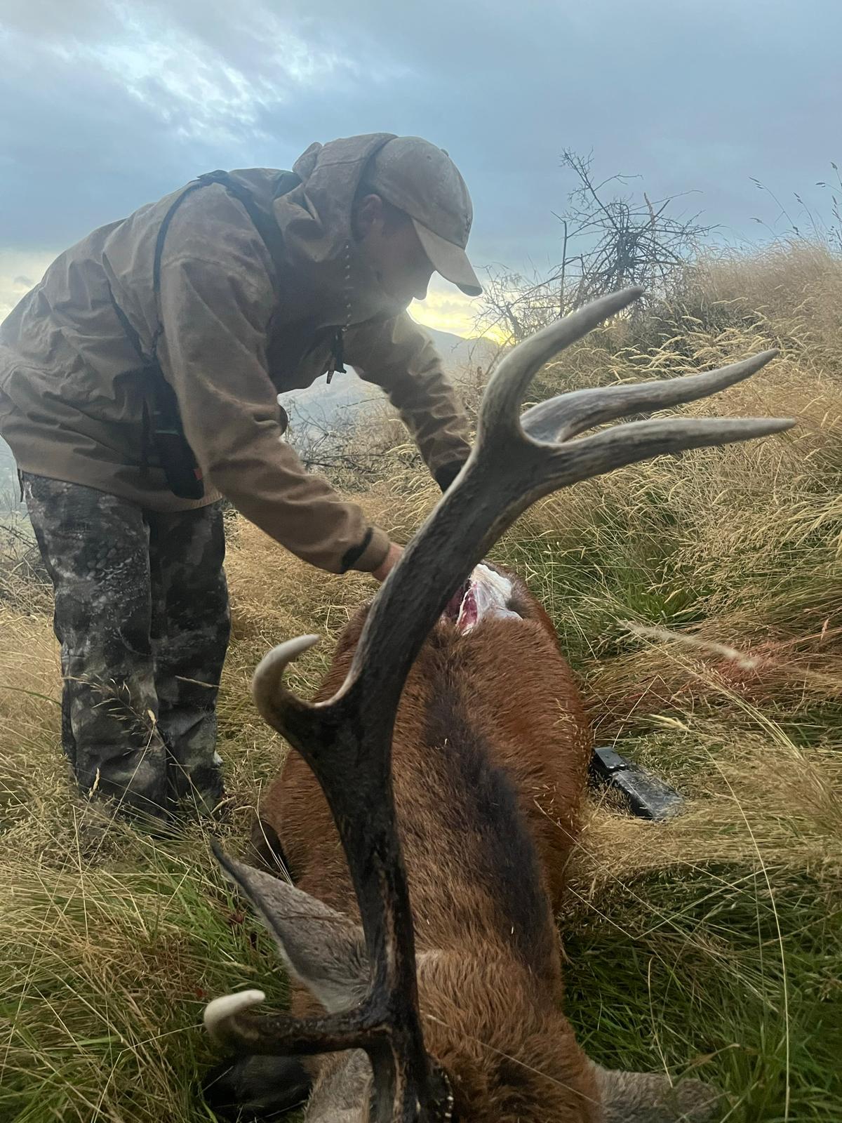 Introduction To Hunting Meat Hunt