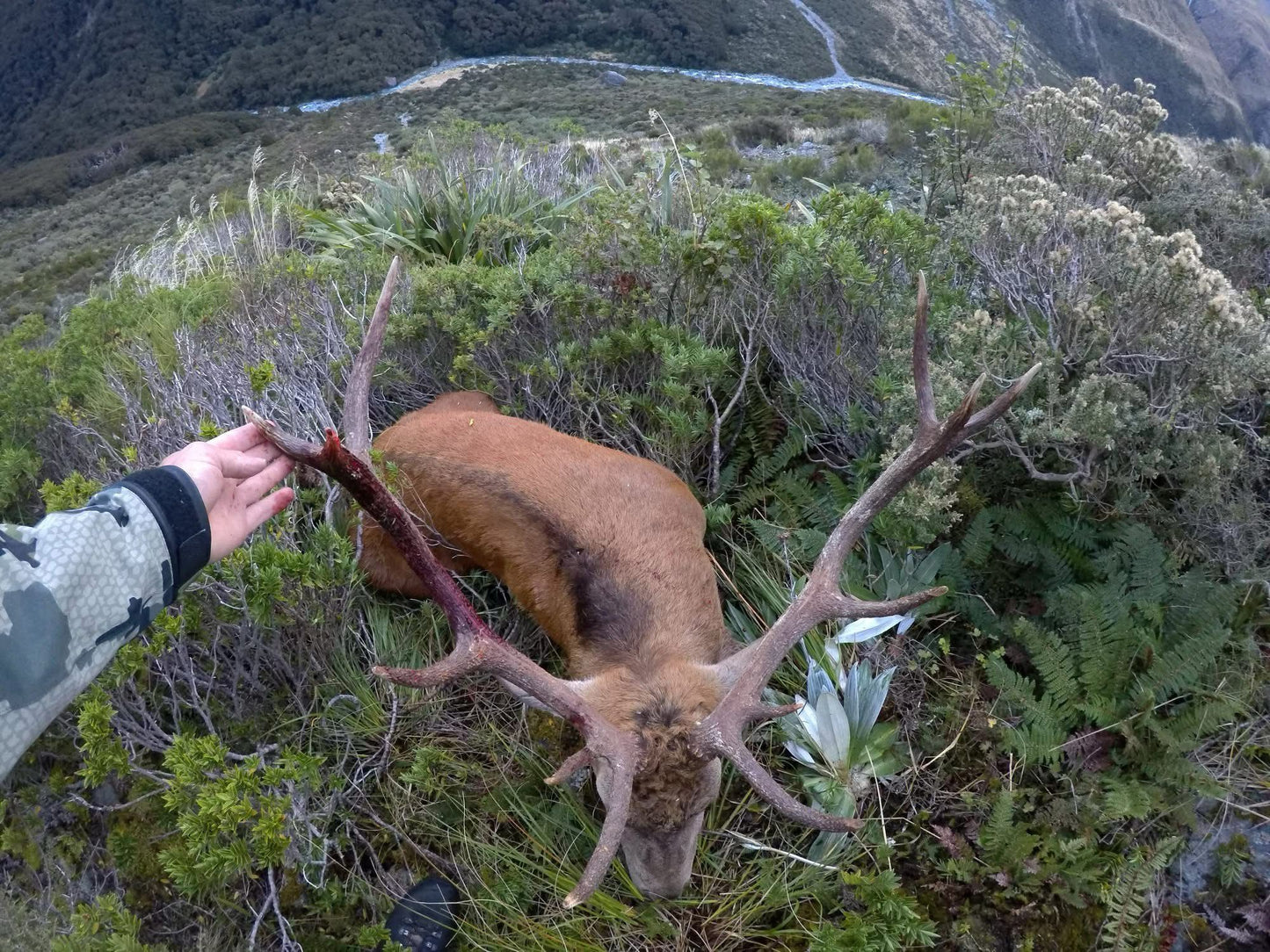 Free Range Three Species Package