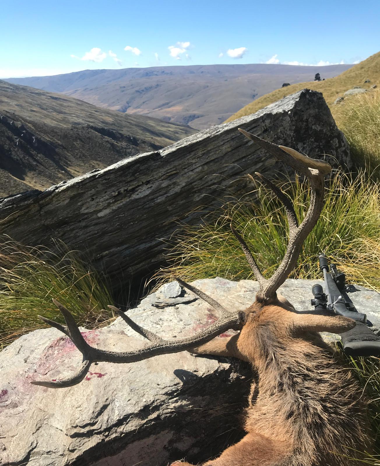 Wilderness Red Stag Hunt