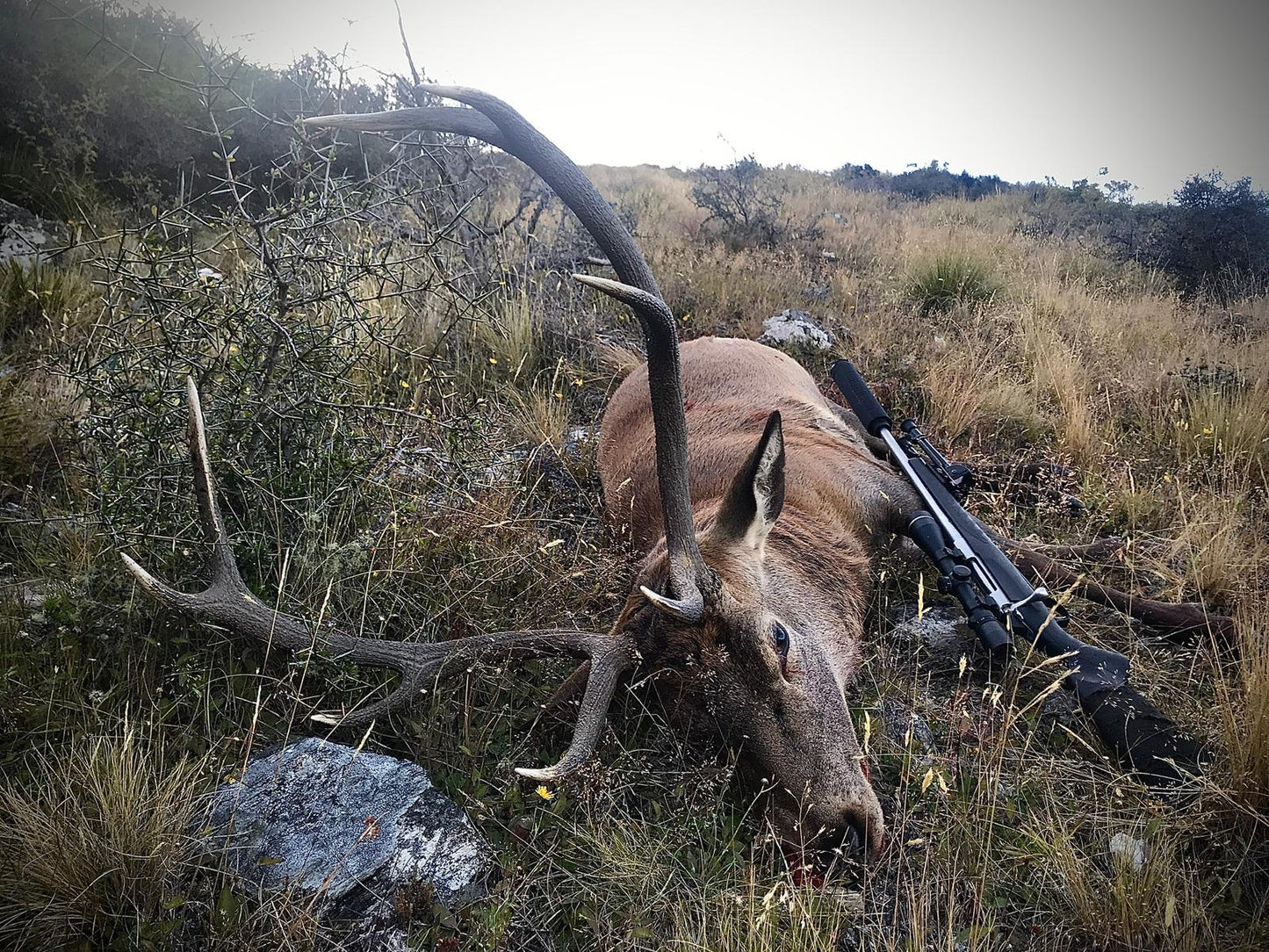 Free Range Three Species Package