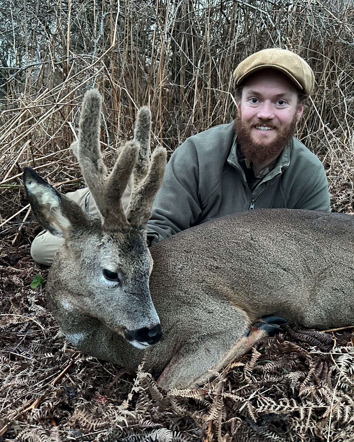 Pere David and Roe Buck summer hunt