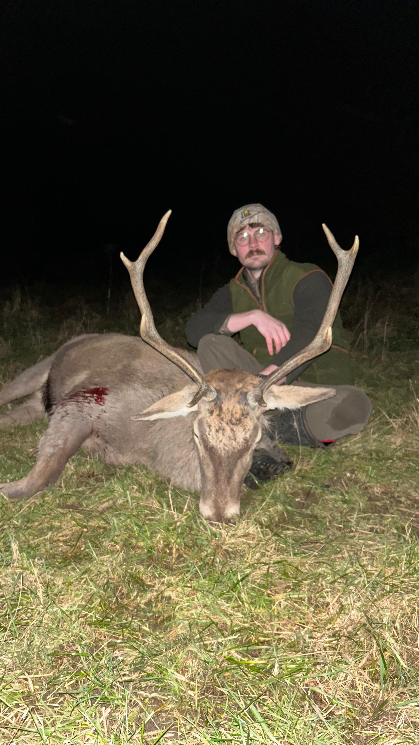 Cull Stags and Bucks