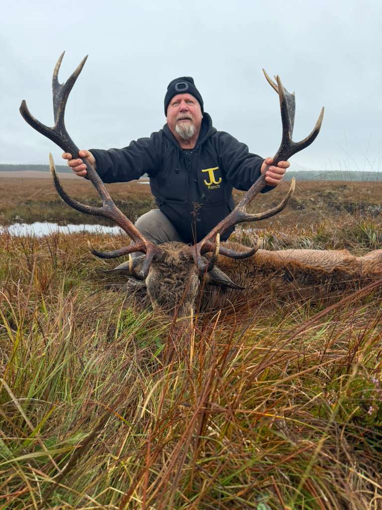 Free Range Irish Red Stag
