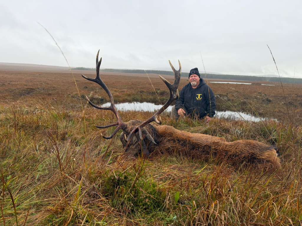 Free Range Irish Red Stag