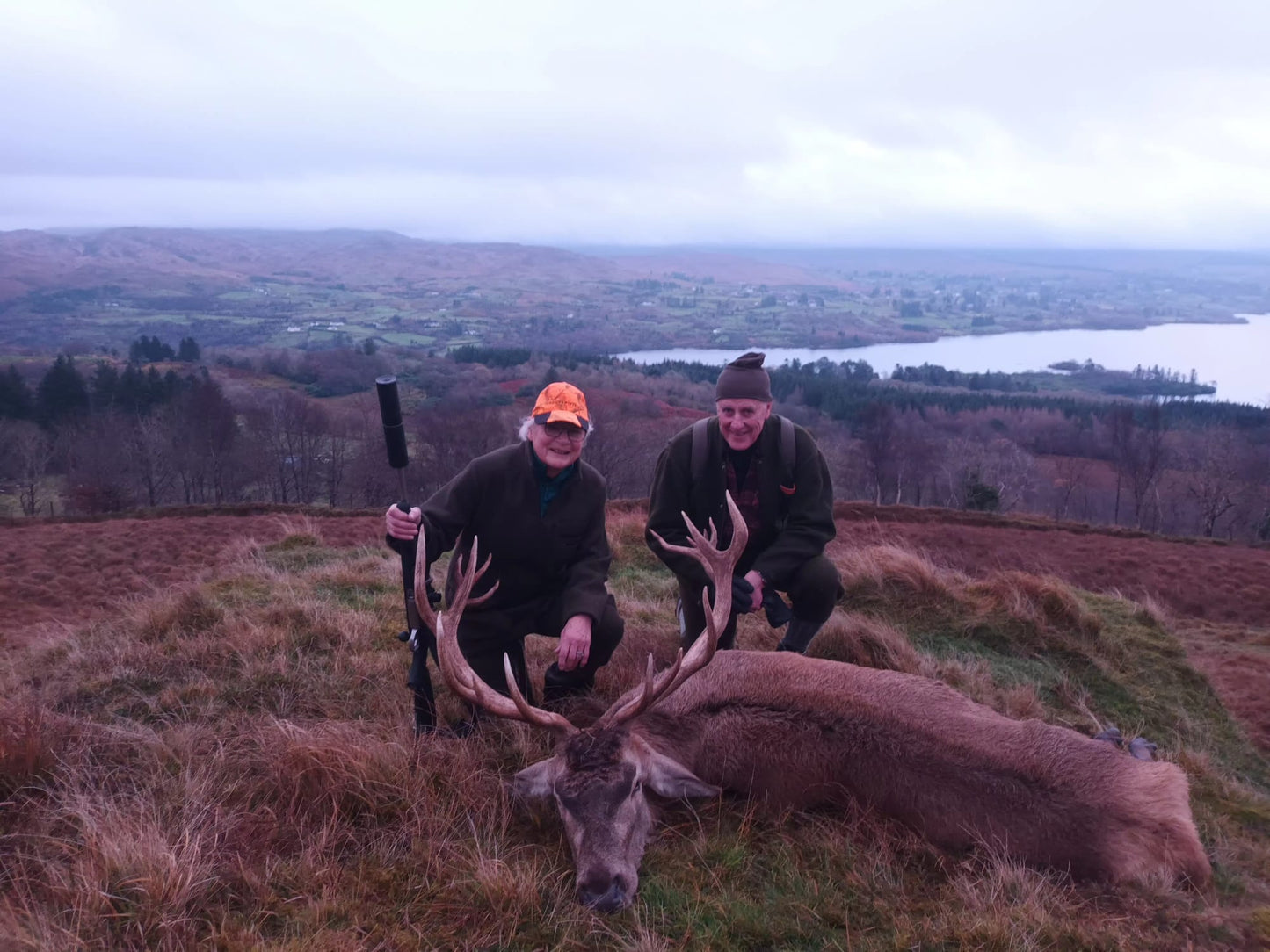 Free Range Irish Red Stag