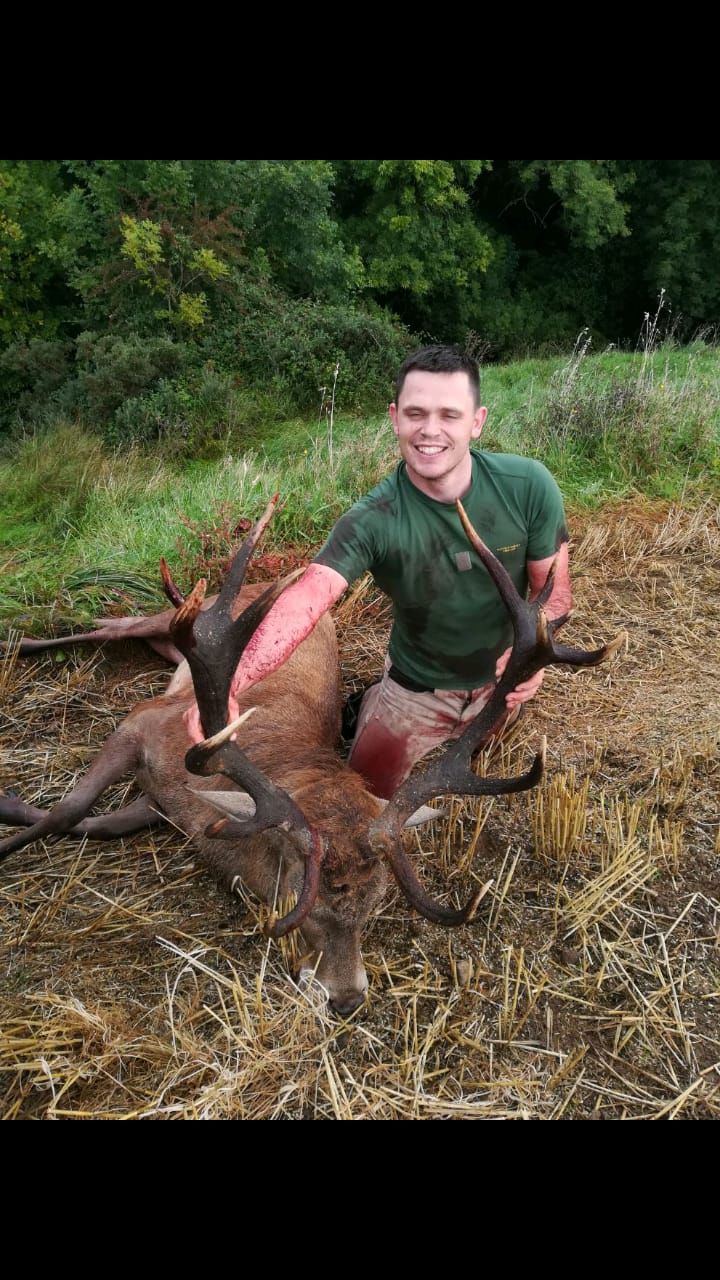 Free Range Irish Red Stag