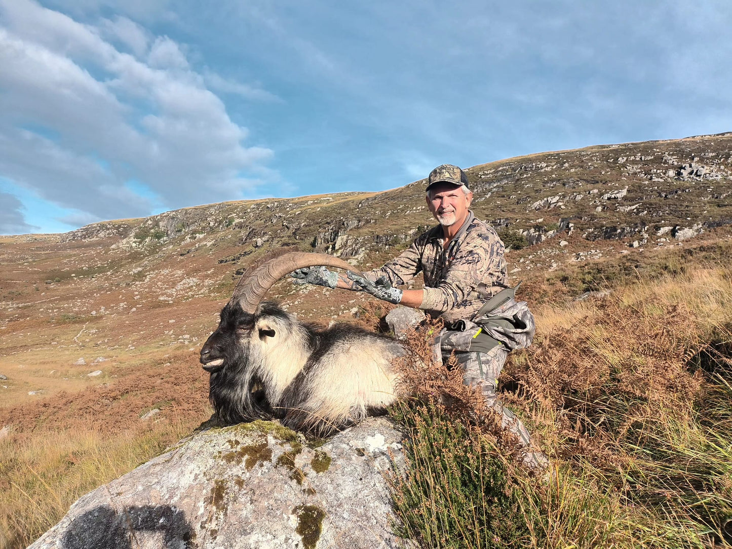 Irish "Ibex" and Irish wild sheep