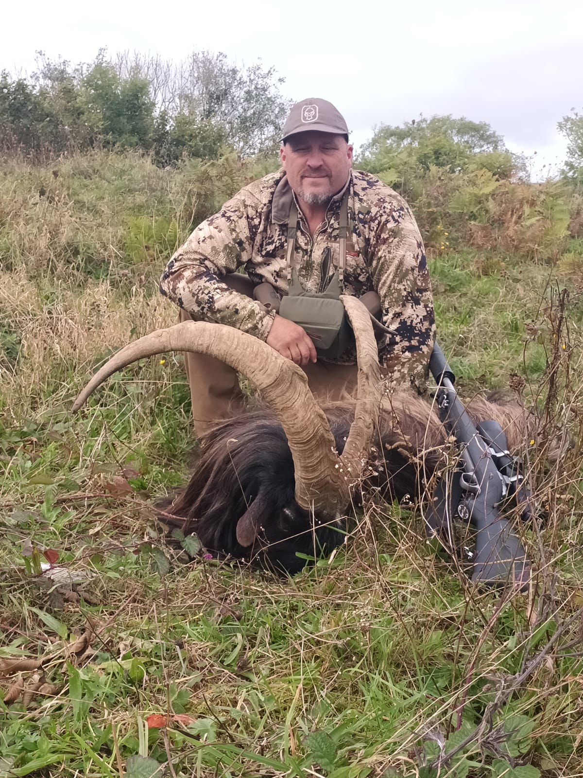 Irish "Ibex" and Irish wild sheep