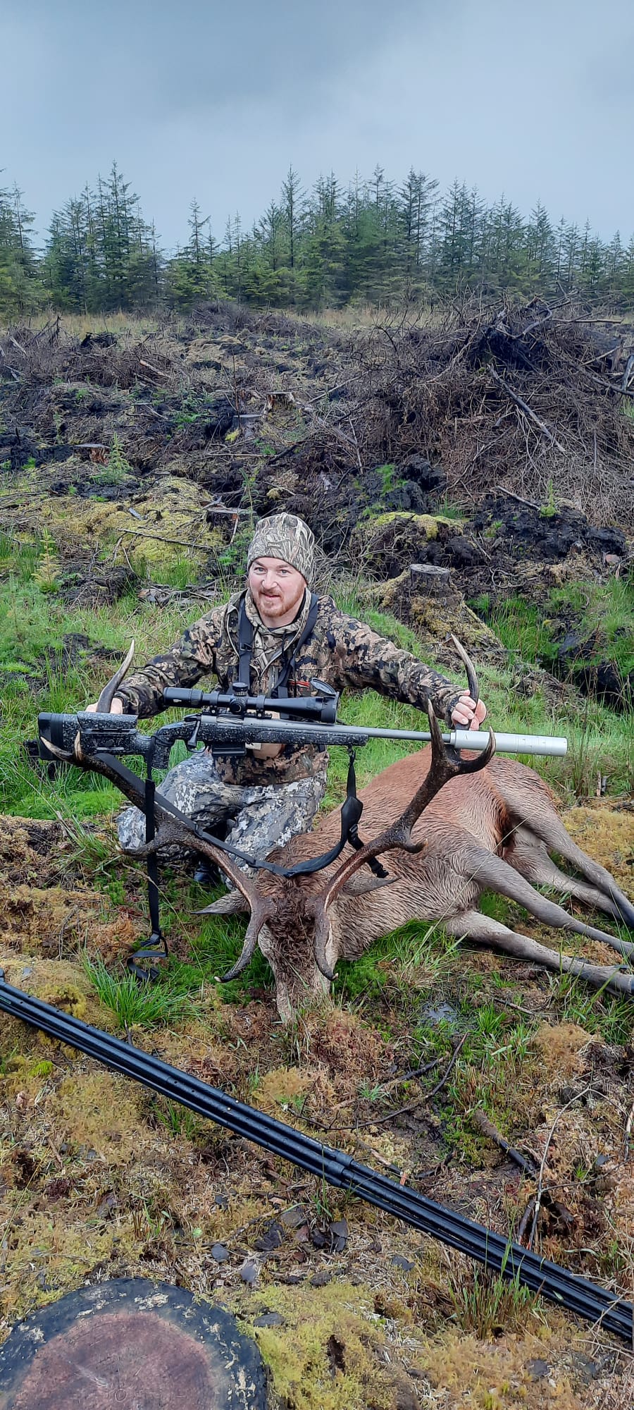 Free Range Irish Red Stag