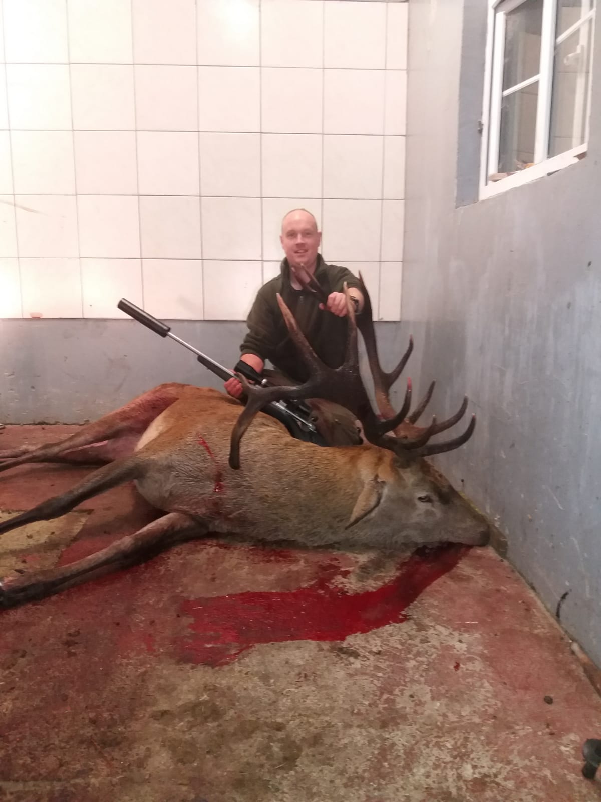 Free Range Irish Red Stag