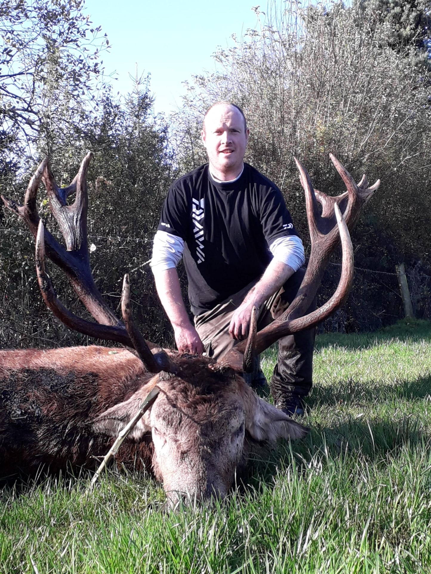 Free Range Irish Red Stag