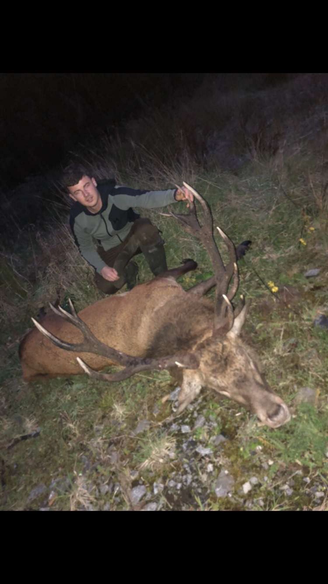 Free Range Irish Red Stag