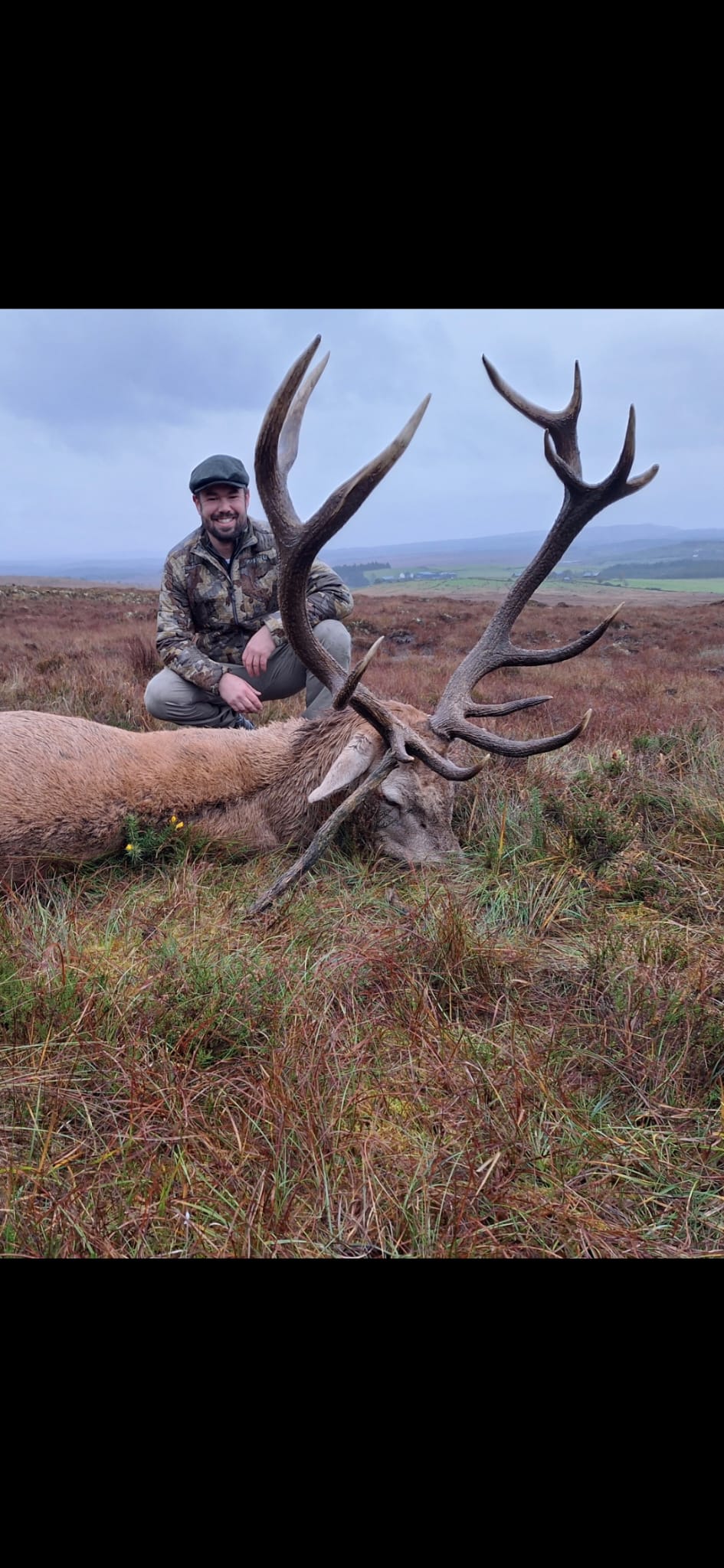 Free Range Irish Red Stag