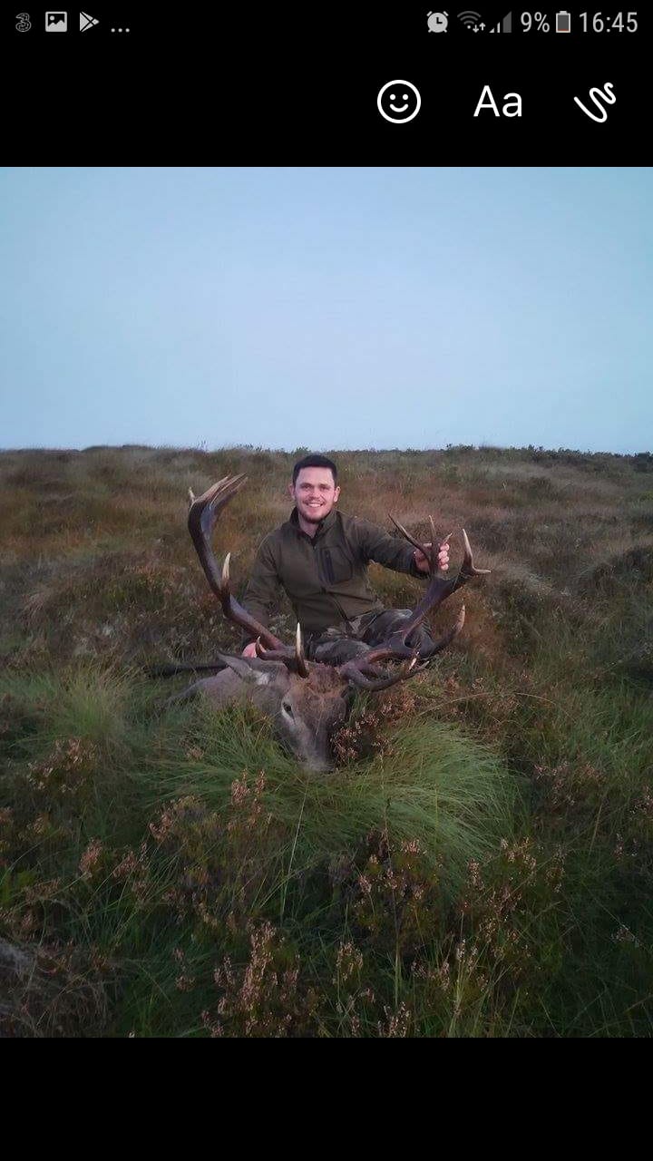 Free Range Irish Red Stag