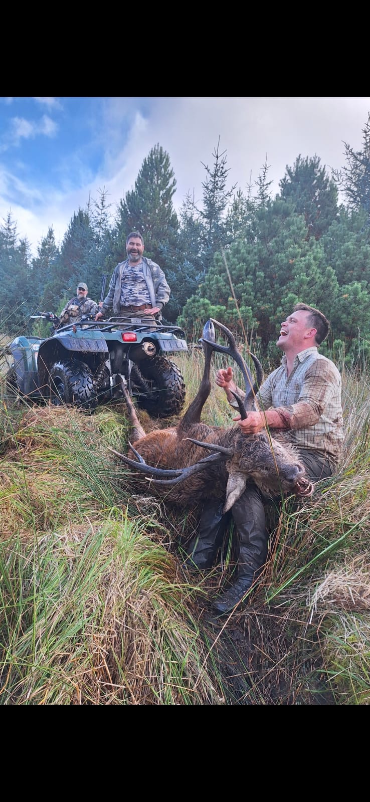 Free Range Irish Red Stag