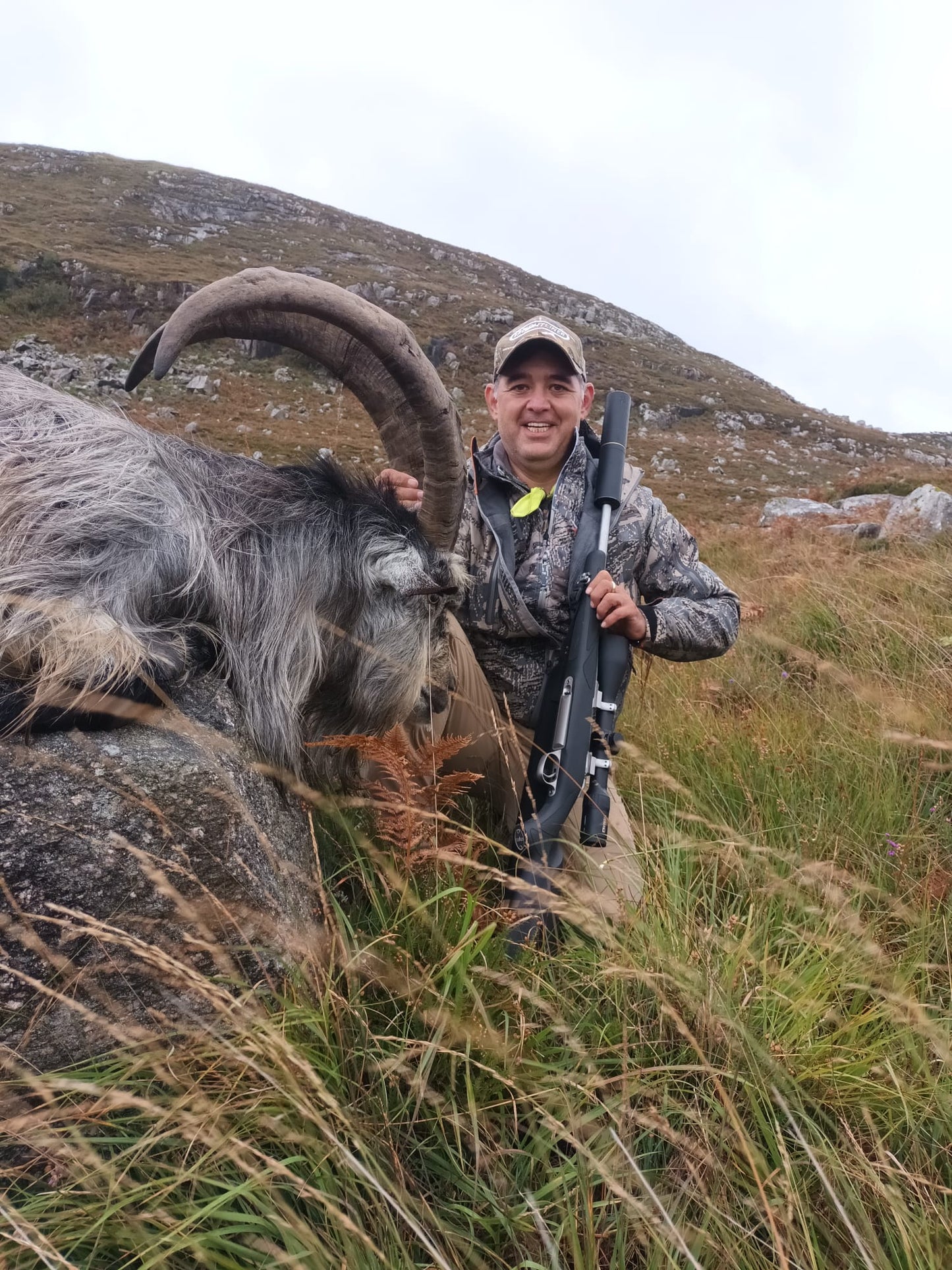 Irish "Ibex" and Irish wild sheep