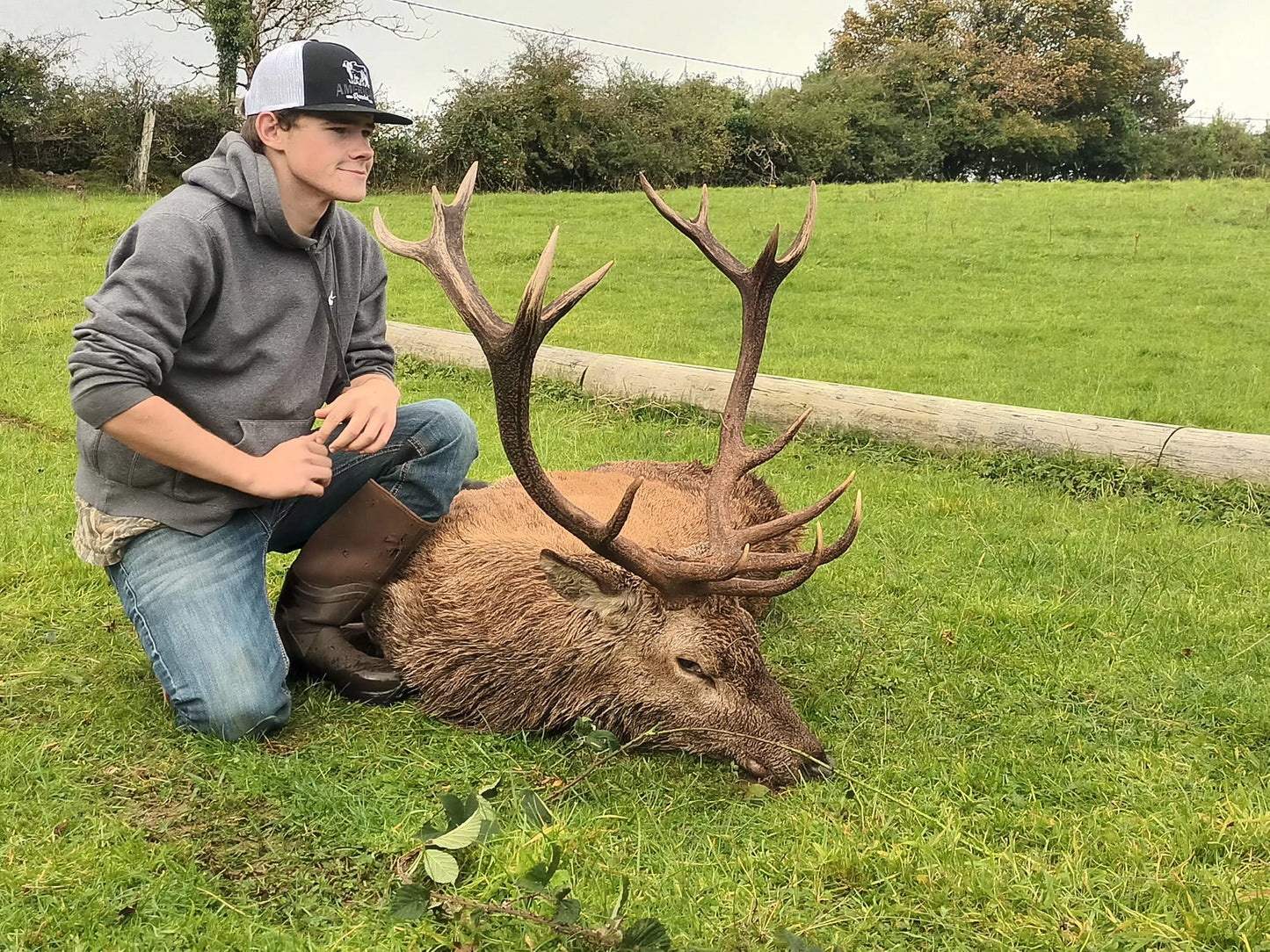 Free Range Irish Red Stag