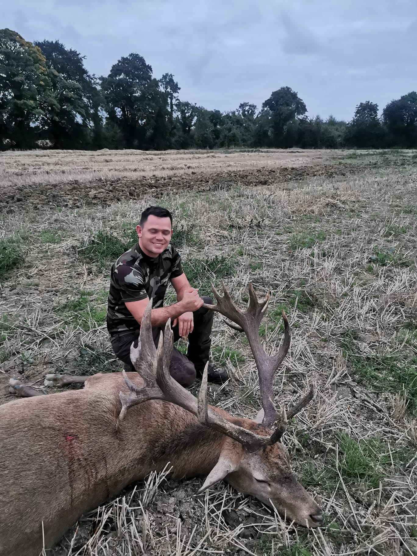 Free Range Irish Red Stag