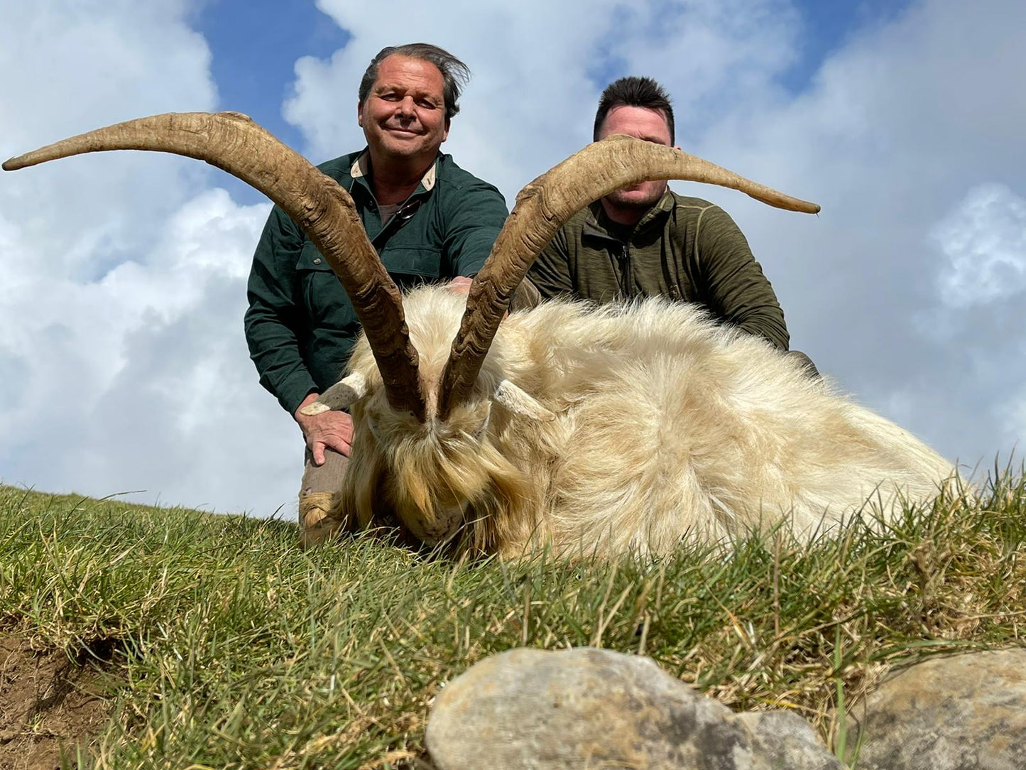 Irish "Ibex" and Irish wild sheep