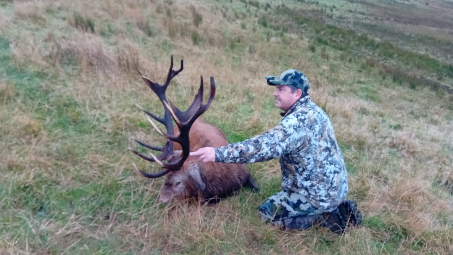Free Range Irish Red Stag
