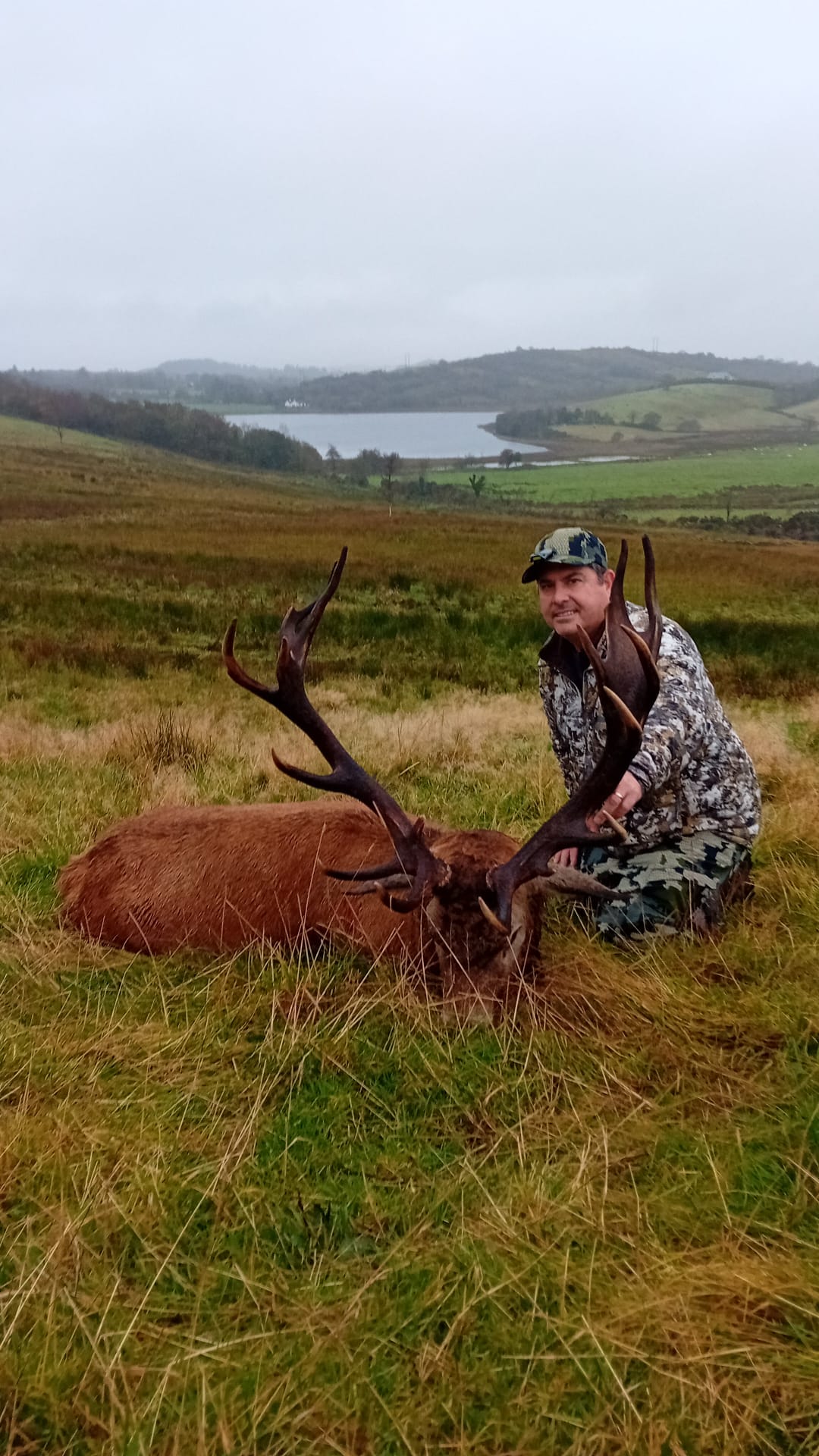 Free Range Irish Red Stag