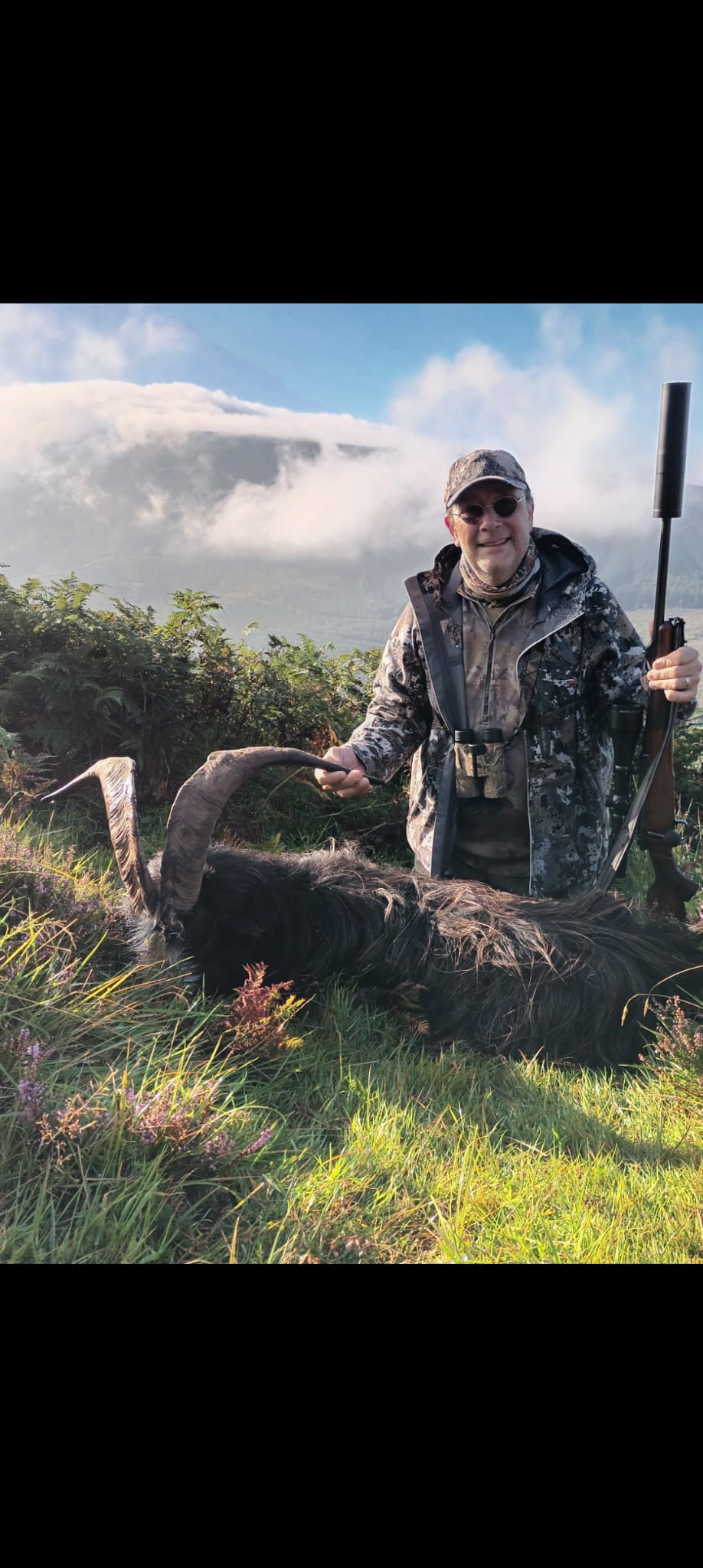 Irish "Ibex" and Irish wild sheep