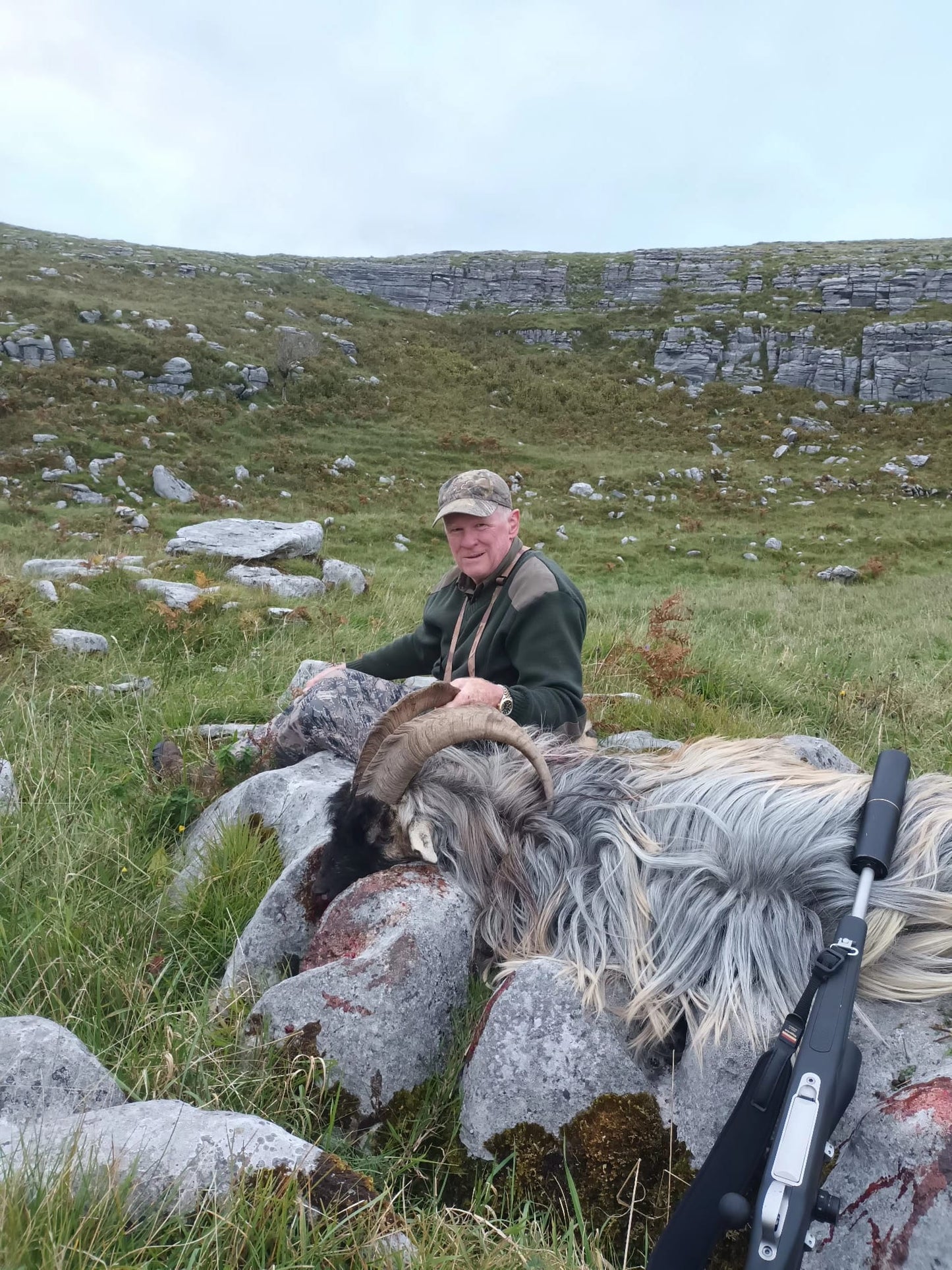 Irish "Ibex" and Irish wild sheep