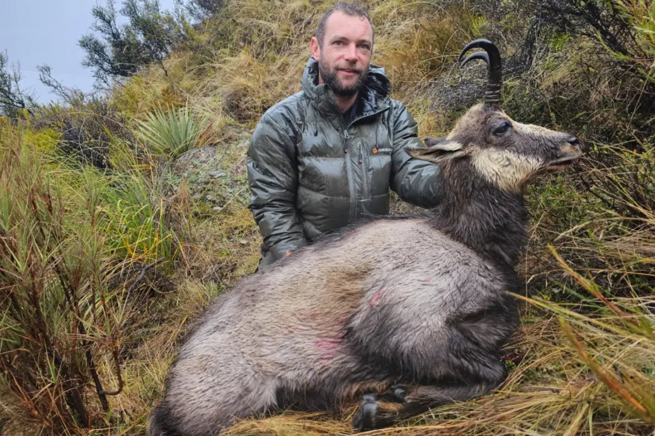 Chamois Wilderness Hunt
