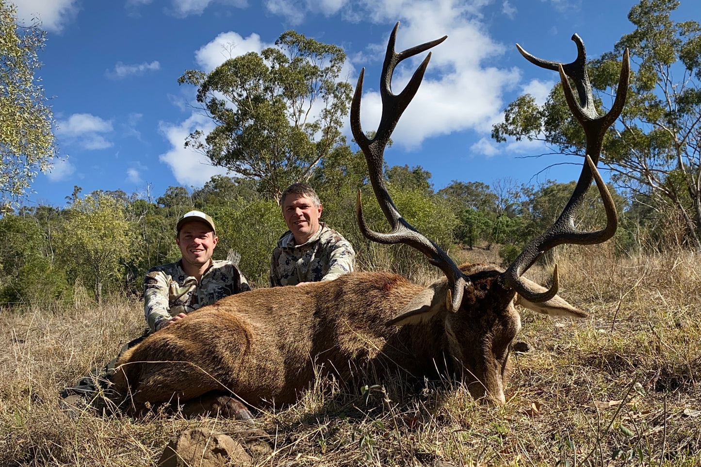 Red stag and Fallow Combo