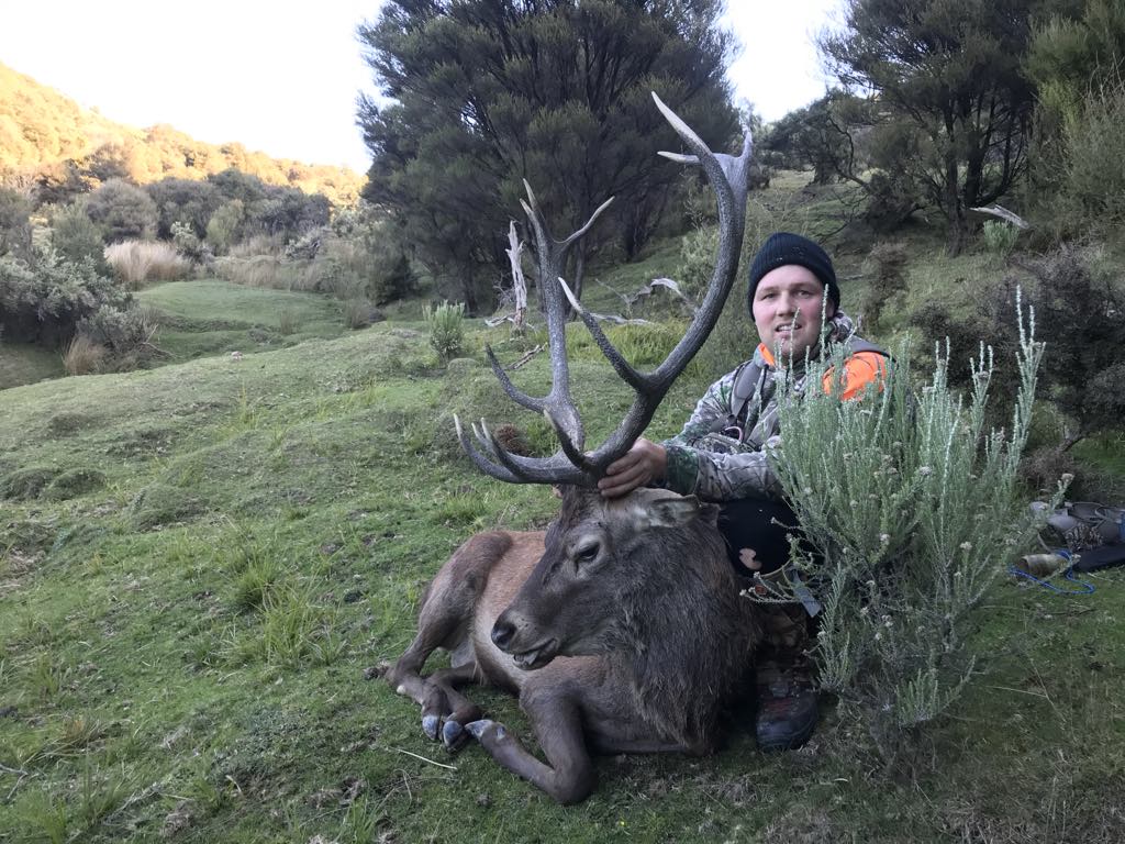 Wilderness Red Stag Hunt