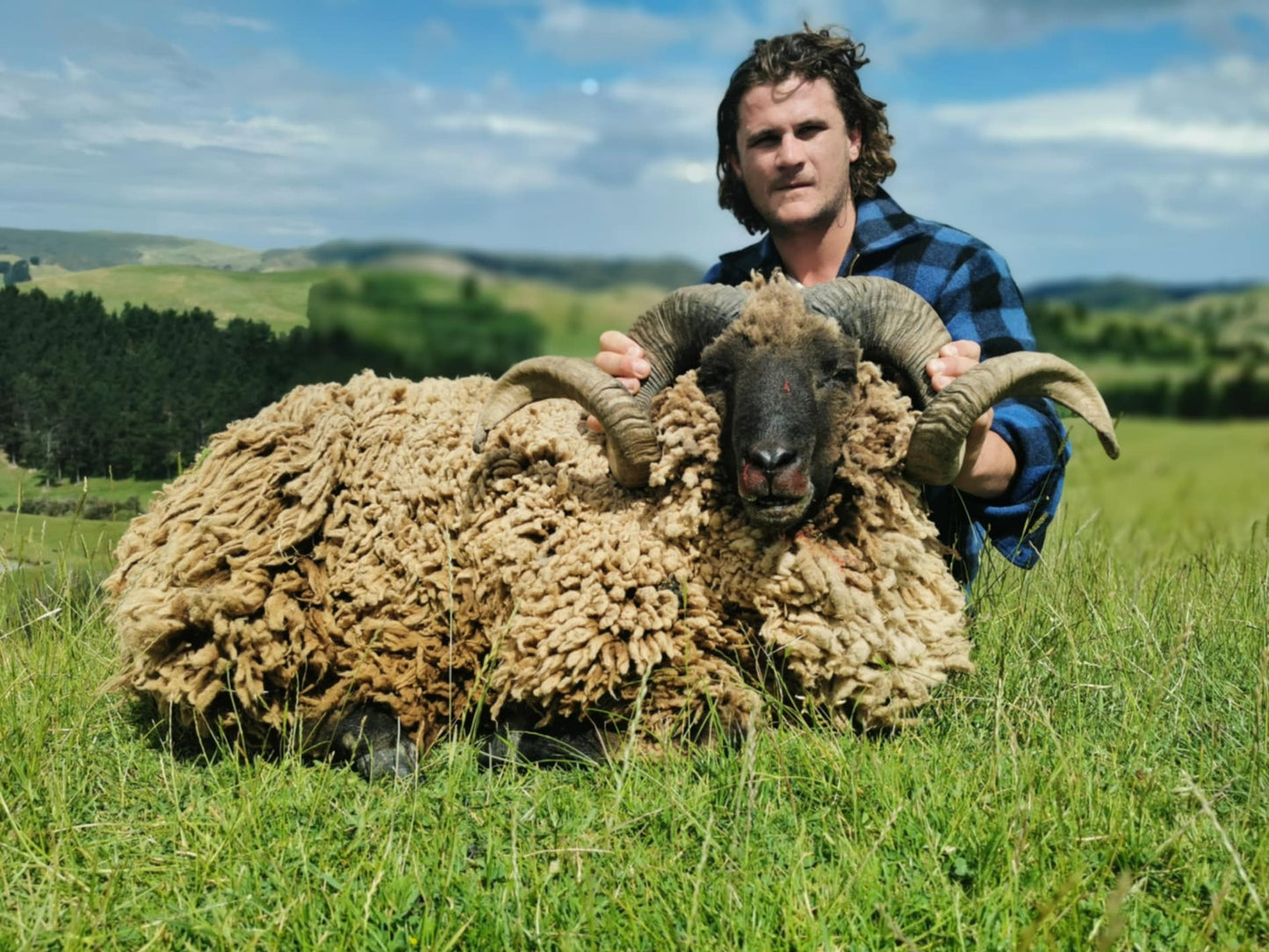 Arapawa Ram Hunt