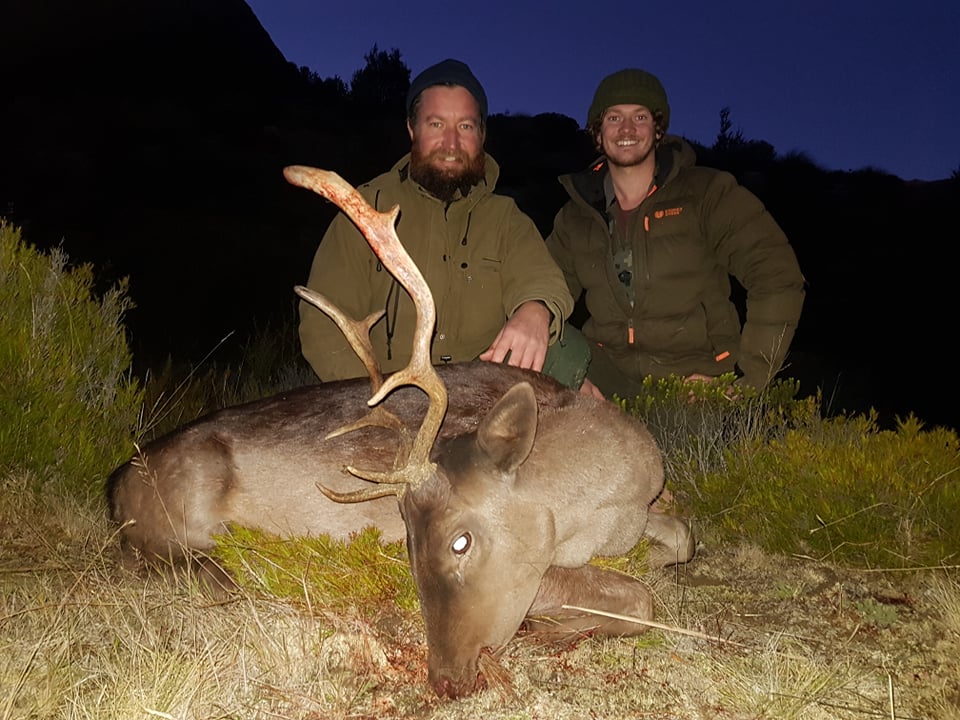 Cull Stags and Bucks