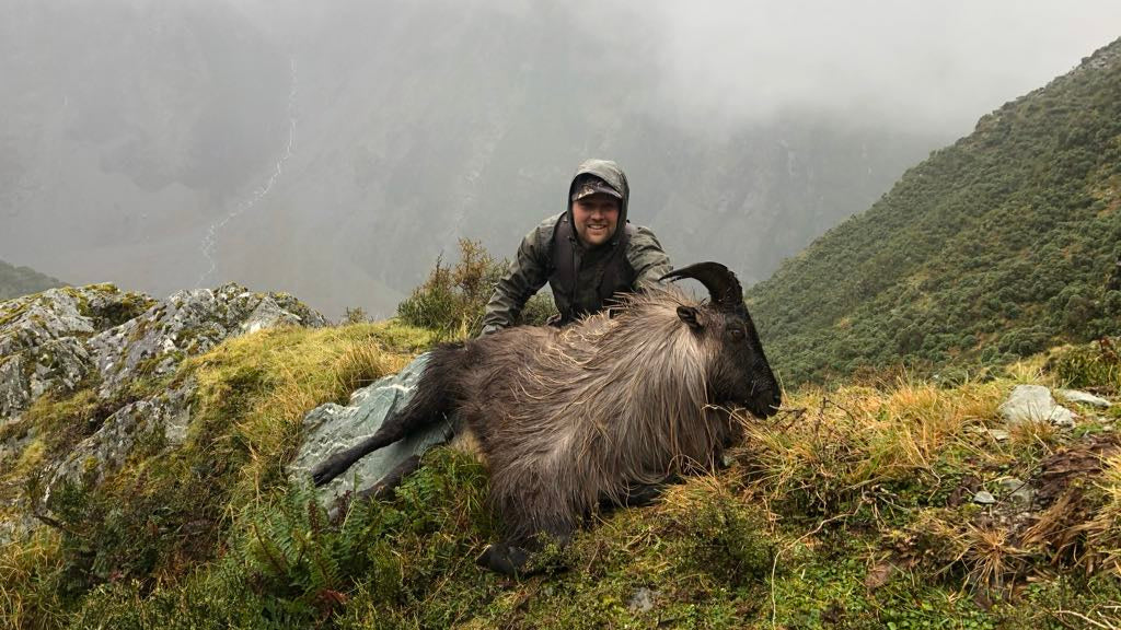 Free Range Two Species Package