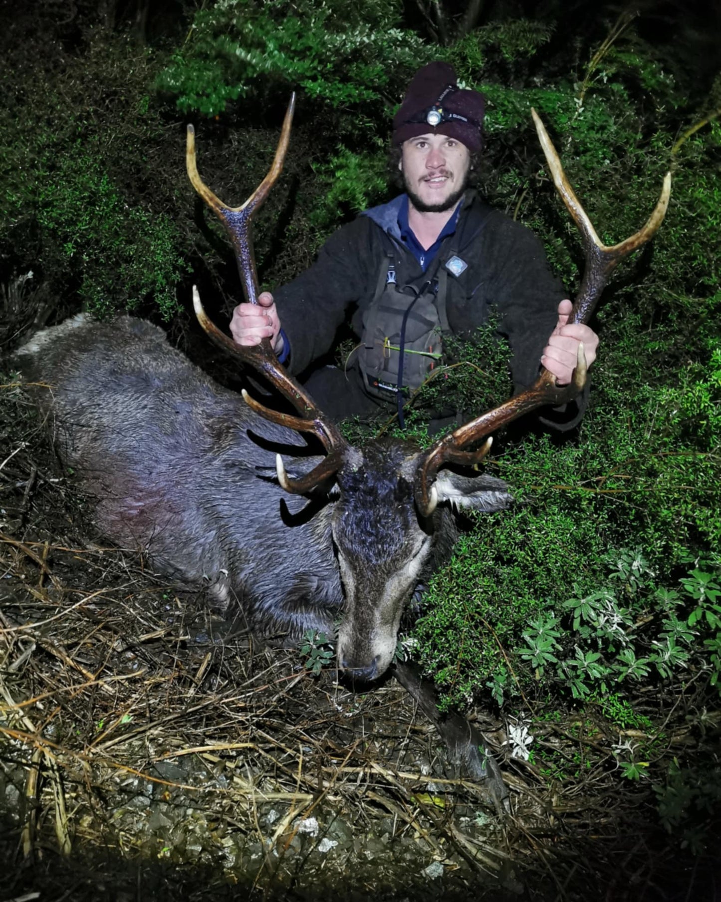 Wilderness Red Stag Hunt
