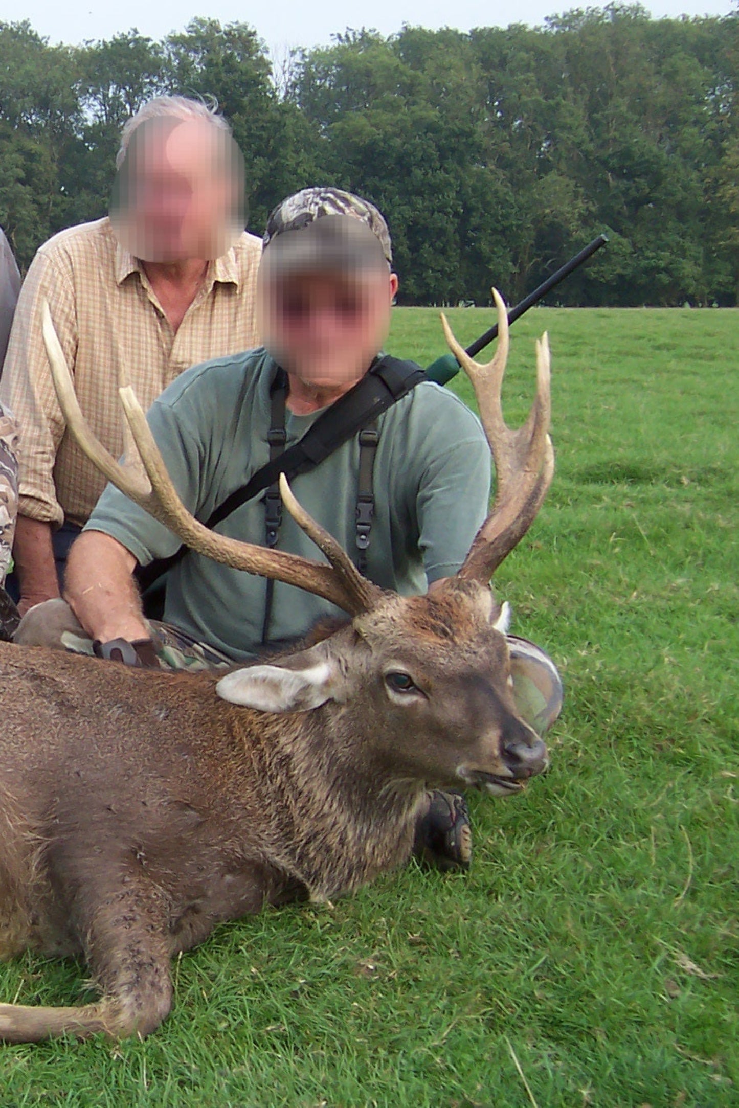 England Manchurian Sika