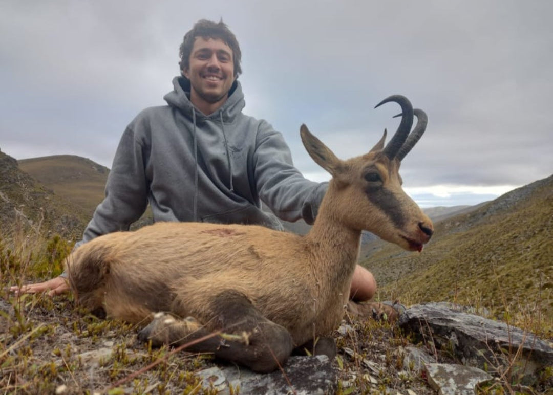 Chamois Wilderness Hunt