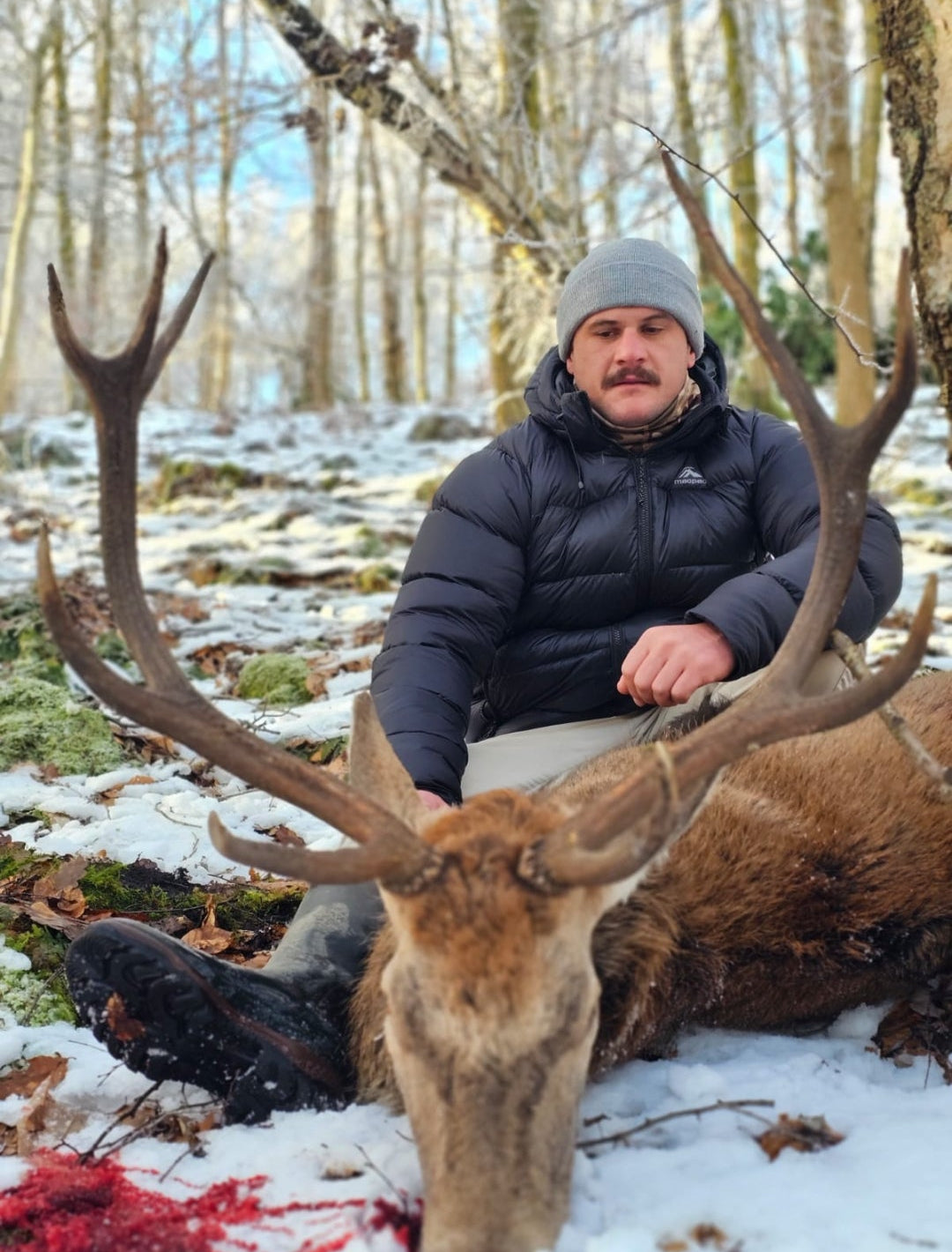 Wilderness Red Stag Hunt