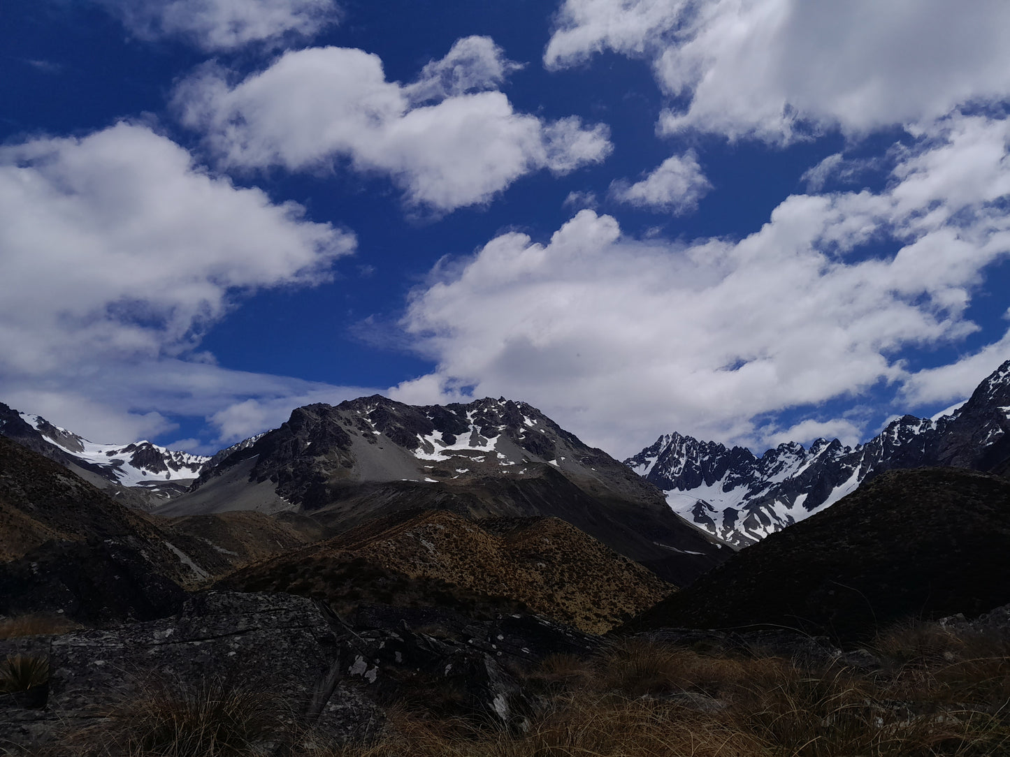 Free Range Two Species Package