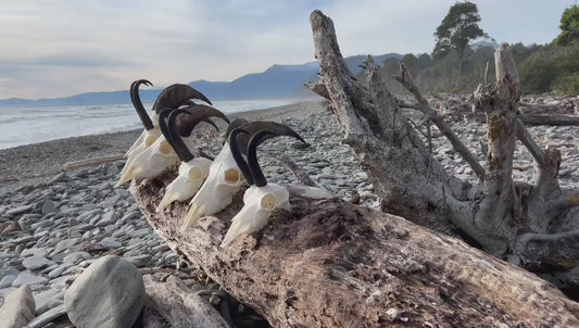 Tahr And Chamois Wilderness Hunt Combo