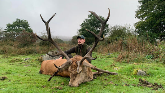 Red stag and Fallow Combo