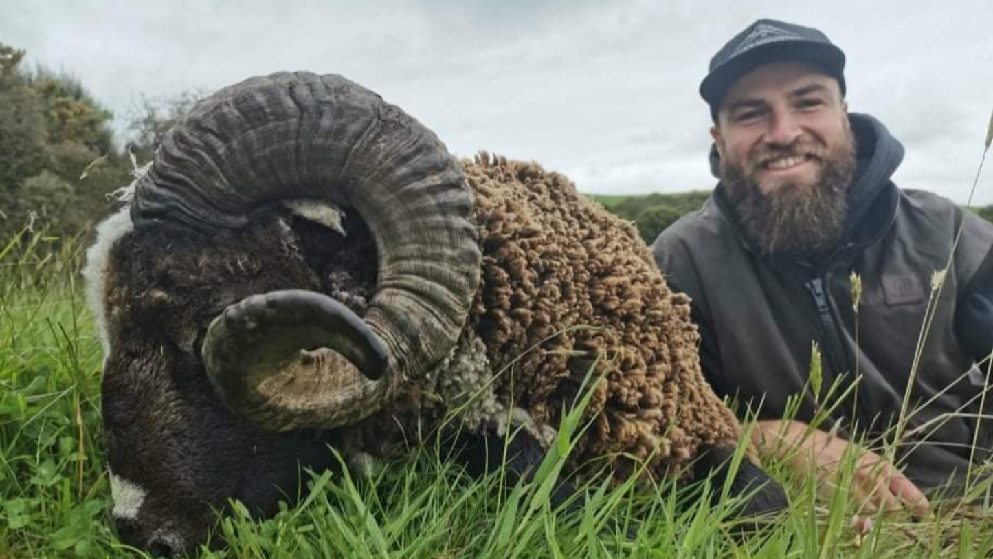 Arapawa Ram Hunt