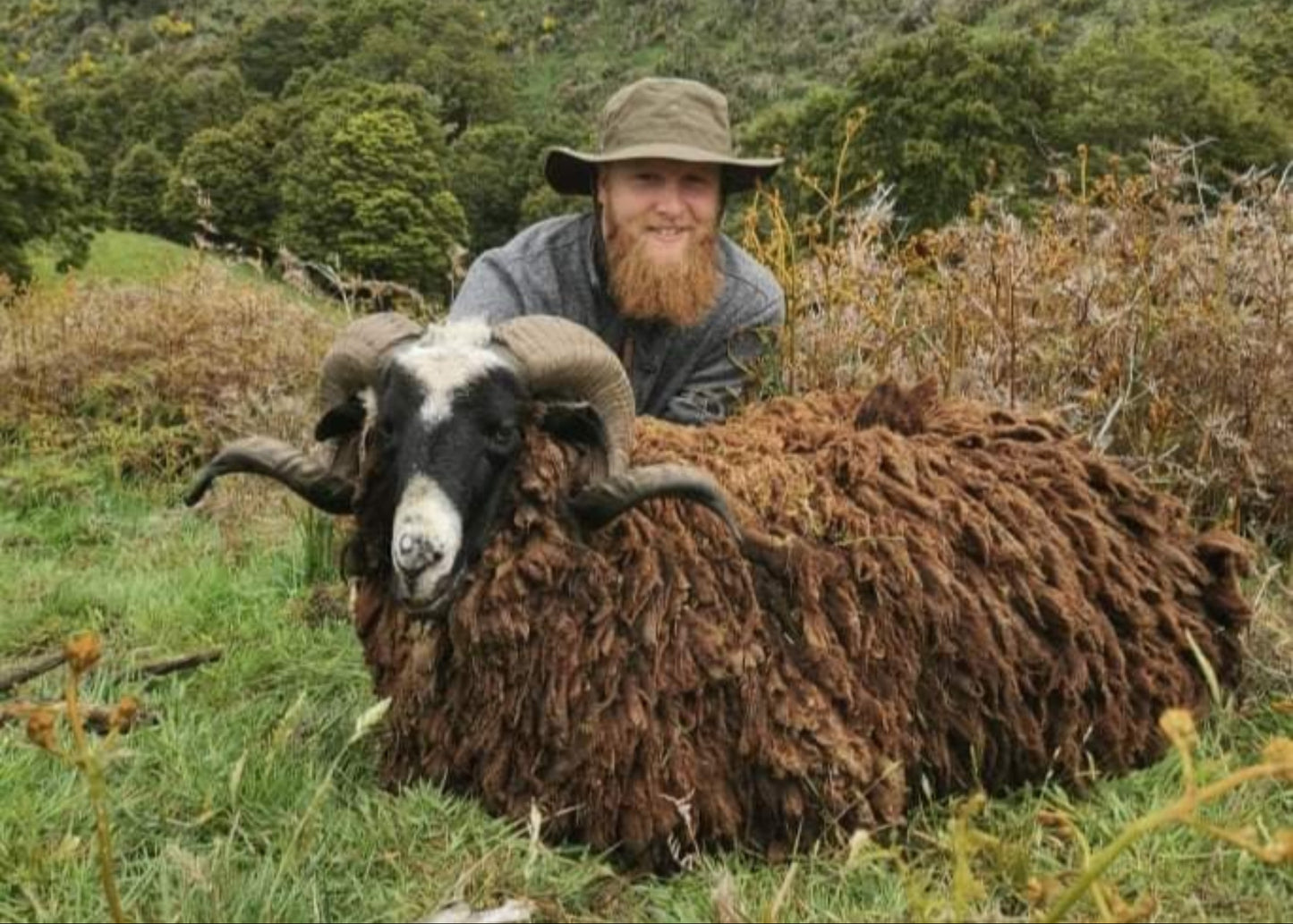 Arapawa Ram Hunt