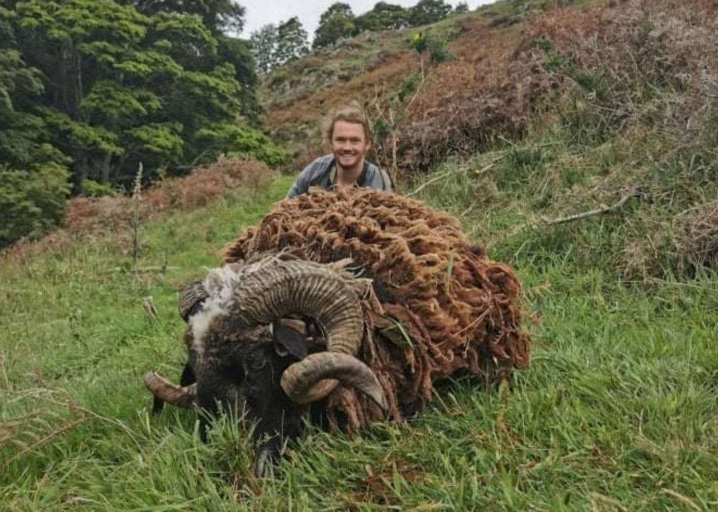 Arapawa Ram Hunt